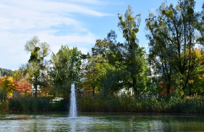 Apartment Near Kurpark Lake - Foto 35