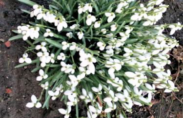 Uns lütte Hus - Foto 19