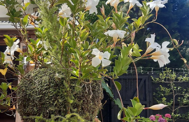 Harbour View Cottage Boutique B&b - Foto 40