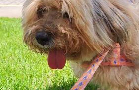 VG SUN CUMBUCO-Lake Flat C1 201 1 a 4 pessoas - Photo 21