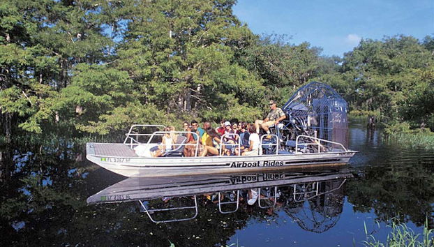 Exploring the Everglades by airboat