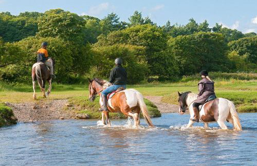 The Granary - Foto 28