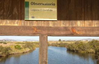 GUADALMARINA - Playa, Naturaleza y Ciudad - Foto 19