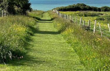 Le colombier, villa vue mer accès plage 300M - Foto 8
