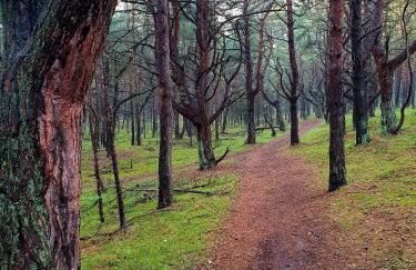 HELove Apartamenty - Foto 34