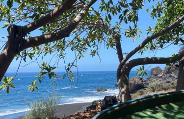 Mar de Lava - Foto 45