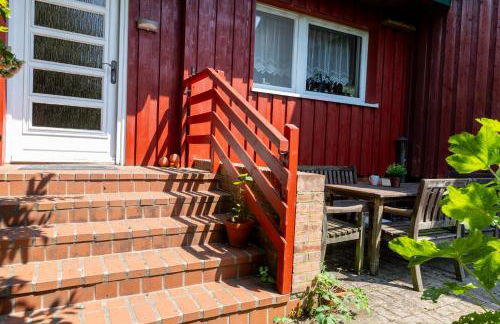 Huus Stokendörp für 2 Hunde - Foto 38