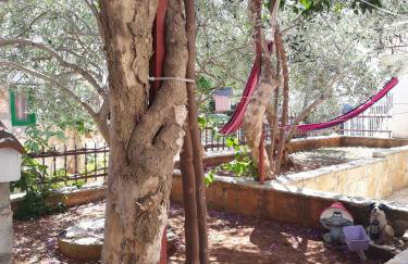 Apartments Anita - Foto 42