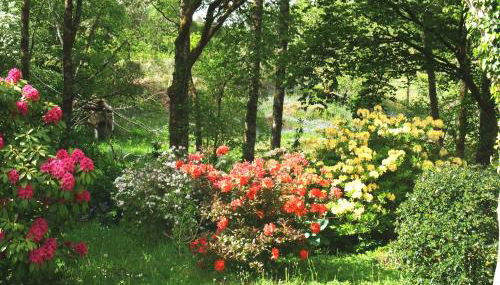 Inverawe Cottages - Foto 3