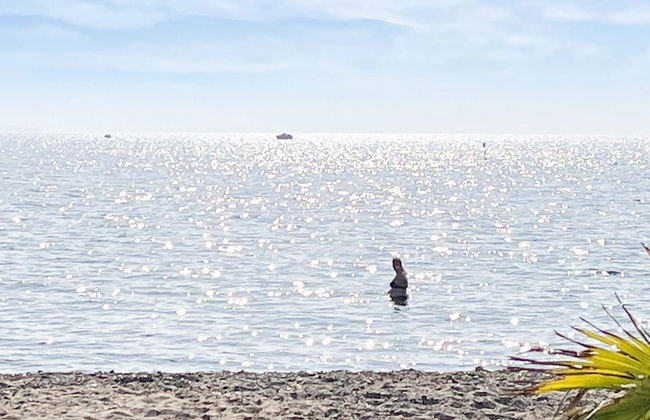 5 Person Holiday Home in Oster Assels-by Traum - Foto 29