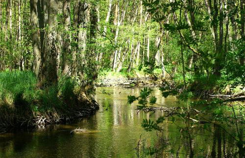 Ferien am Hegensteinbach - Foto 17