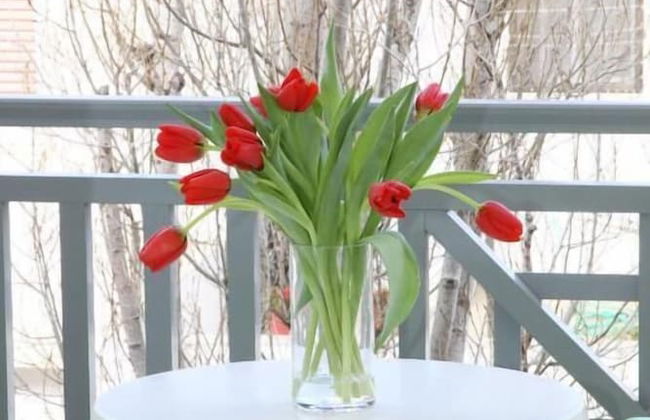 Apollon Hotel Apartments - Foto 40