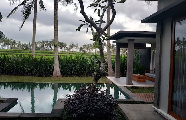 Anggira Villa Ubud - Photo 54