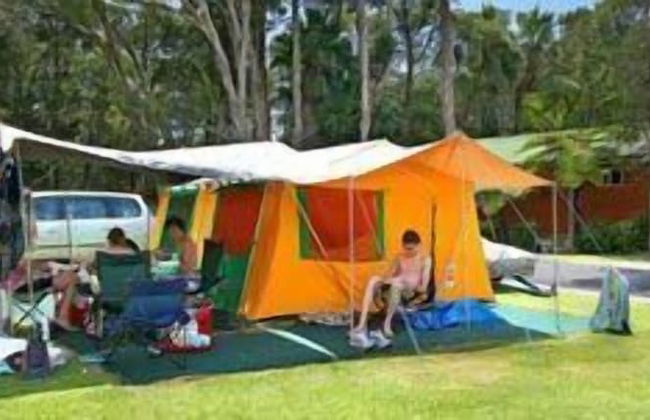 Gateway Lifestyle Lorikeet - Foto 16