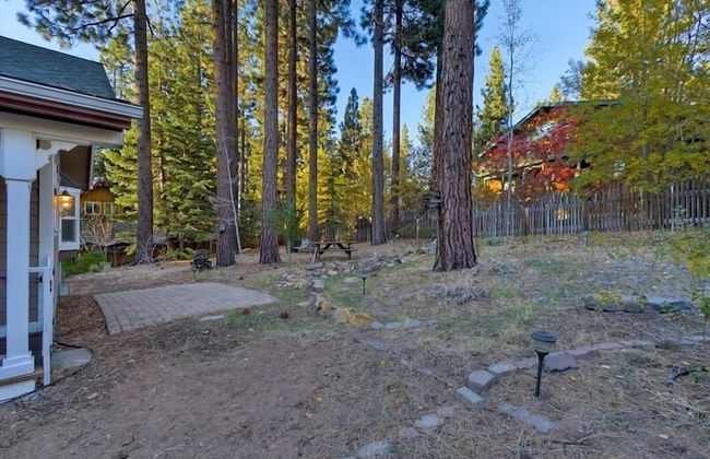 2478 Cold Creek Trail - Foto 21