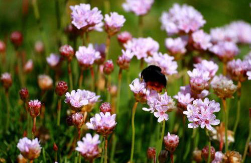 19 Ocean Gate - Foto 19