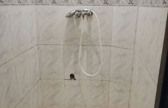 La Bella Casa De Papel - Foto 14