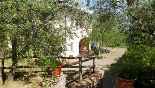 Casa le Betulle - Foto 1, Garden view