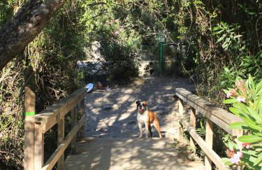 ÁTICO CAHI - Foto 17