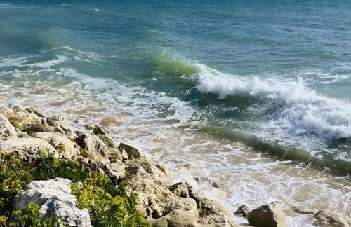 La petite maison avec palmier - Foto 13