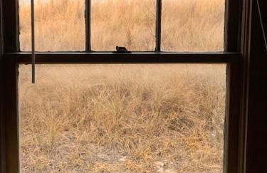 Old Time Beach Front Cottage - The Beach is your Backyard! Pet Friendly cottage - Photo 34