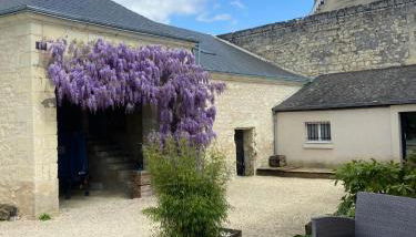 Maison centre Bourgueil avec piscine 8 p - Foto 3, Garden, Garden view