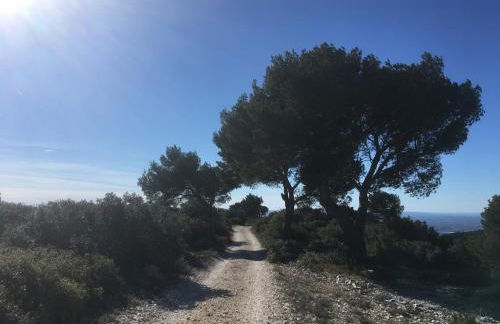 Ecolodge Au fil de l'eau, avec piscine intérieure et parc arboré - Foto 10
