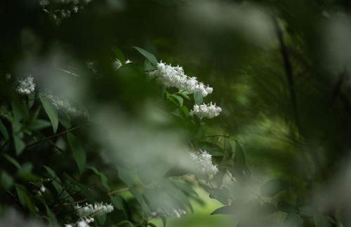 Ferienwohnung Mientje, 35214 - Foto 15