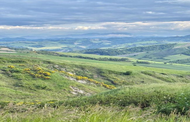 Apartment Amidst Vineyards & Blue Skies - Foto 39