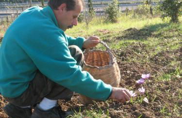 Agriturismo La Steccaia Alta - Foto 13