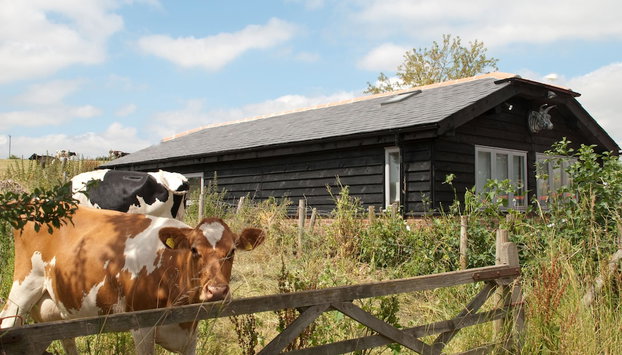 Bull Farm Studios - Foto 2, Imagem principal