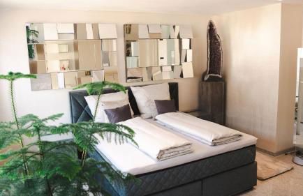 Mandaroza Apartment Freiburg - Foto 9