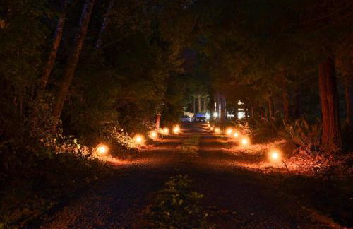 Hidden Dome Retreat in the Trees - Foto 8