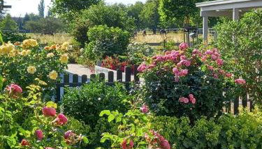 Haus-Am-See-Pratzschwitz - Foto 5, Garden, Garden view