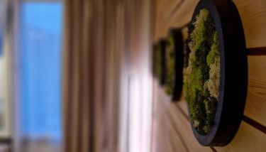 Schwarzwald Apartment - Foto 5