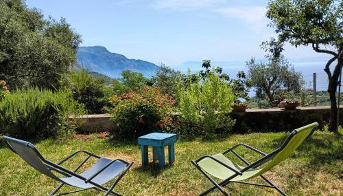 Amalfi Coast, Positano, Sorrento, Capri, Garden, Villa Carcara - Foto 2