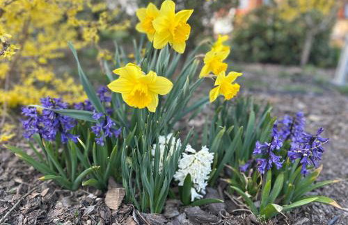 Sielanka Chwaliszów dom całoroczny - Foto 10