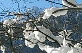 FW Weissensee 44 - Foto 53