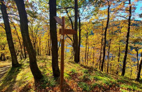 Wegfreiheit II - Foto 14