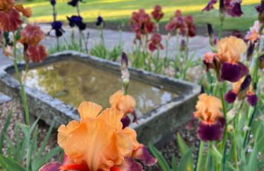 The Old Stable at Manor House, Middleton - Foto 22