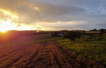 Schwarzwald Chalet Auwald - Foto 43