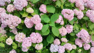 Casa relax immersa nel verde della natura - Foto 5