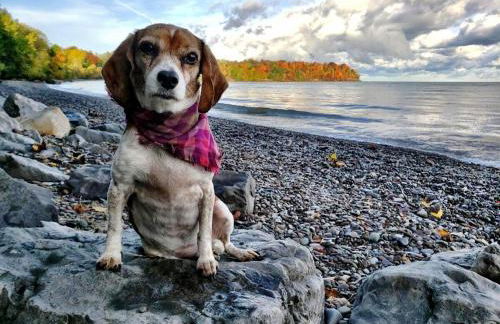 Cozy Cottage Lake Access Fire Pit - Foto 28