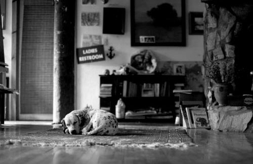 Eclectic Riverfront Log Cabin and Artist Retreat for Groups in Castle Hayne, North Carolina - Foto 28