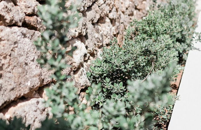 Masseria San Martino - Foto 4