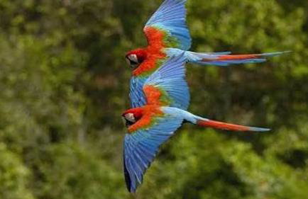 Park Veredas Apto 334 - Foto 1