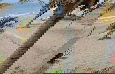 Las Fragatas de Punta Mero - Foto 15