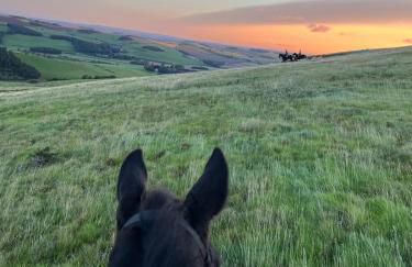 Gardener's Cottage - Foto 15