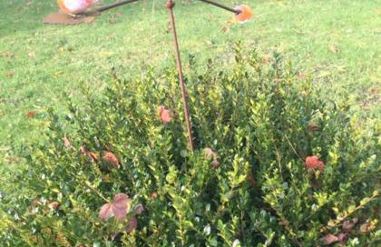 Lieblingsnest Detmold - Foto 55