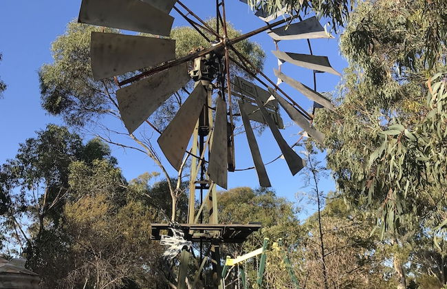 Padthaway Caravan Park - Foto 44